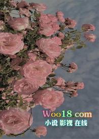 【系统】被迫攻略(NP)