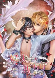 《姐夫,我有了》