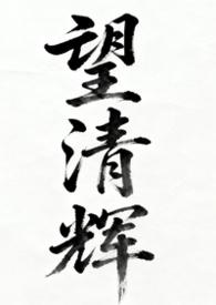 望清辉（女尊np）