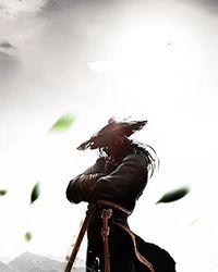 不归于驯