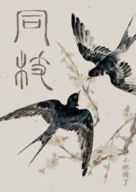 同枝(1v1史同兄妹真骨·嬴政x嬴婼)