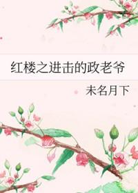 红楼之进击的政老爷
