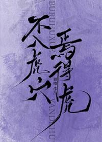 不入虎穴,焉得虎
