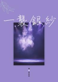 一袭银纱